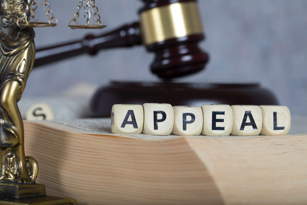 How can HNK help with appeal a CICA decision