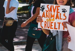 Save Animals from Cruelty protest 