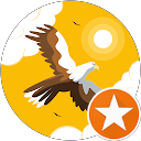 Honest reviews